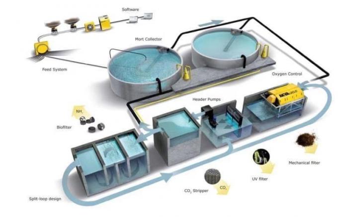 Hdpe 0.98g/Cm3 ROHS άσπρο πλαστικό ενυδρείο μέσων φίλτρων 5